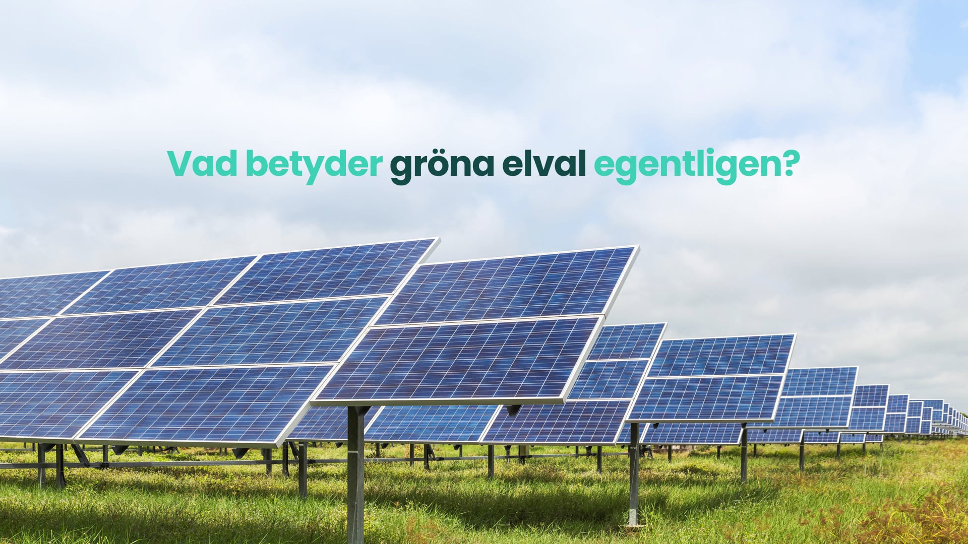 Vad betyder gröna avtal egentligen?
